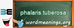 WordMeaning blackboard for phalaris tuberosa